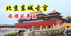 www.....jj操中国北京-东城古宫旅游风景区